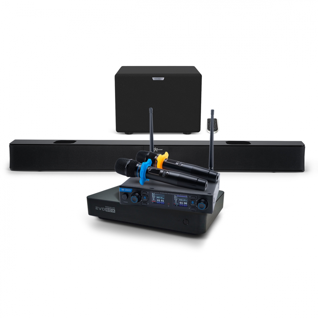 Hi-End караоке-система EVOBOX Premium + EvoSoundBar (саундбар с караоке) в Тульской области