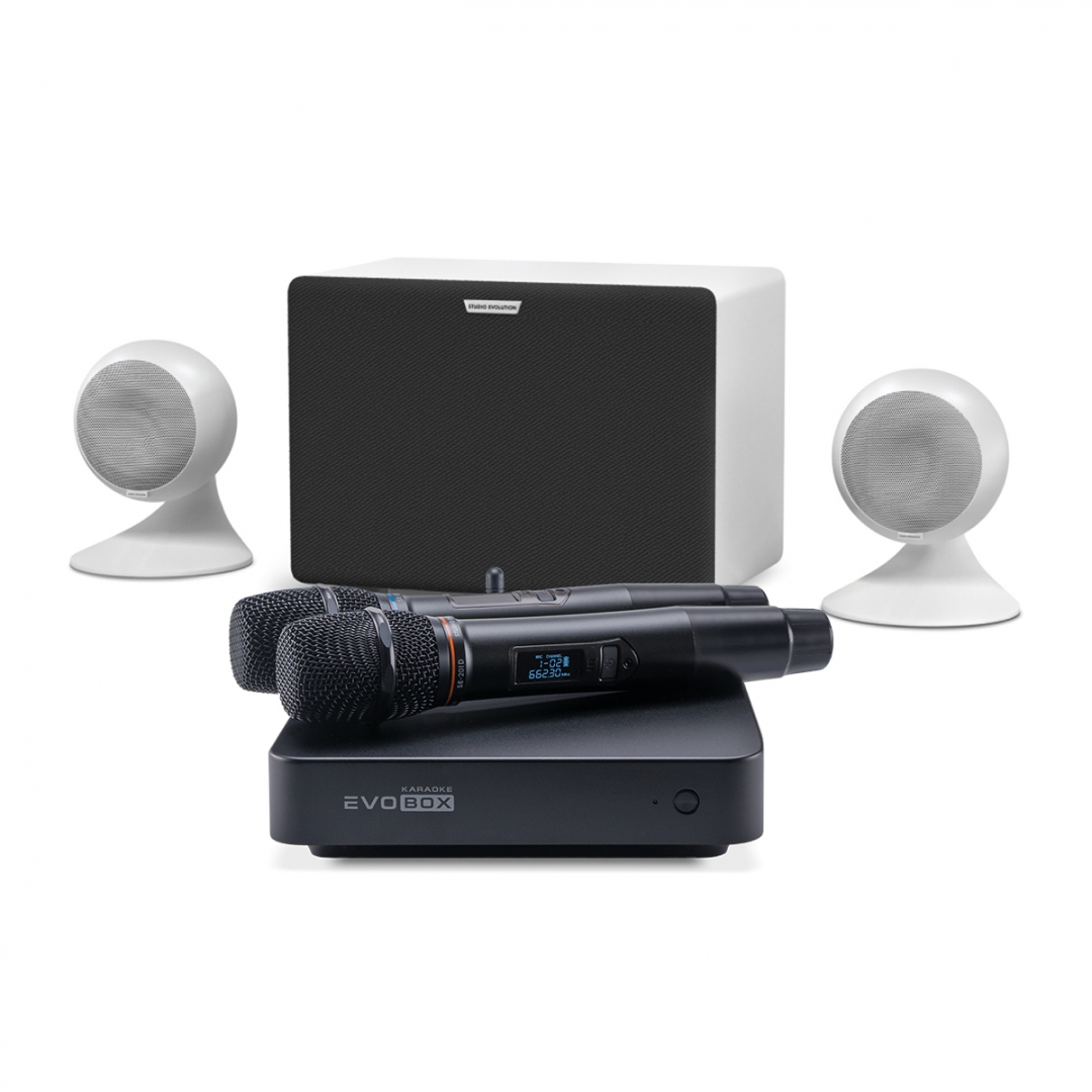 караоке-комплект EVOBOX Classic + EvoSound Sphere 2.1 в Тульской области